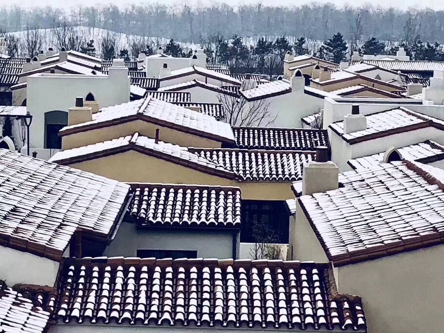 雪景