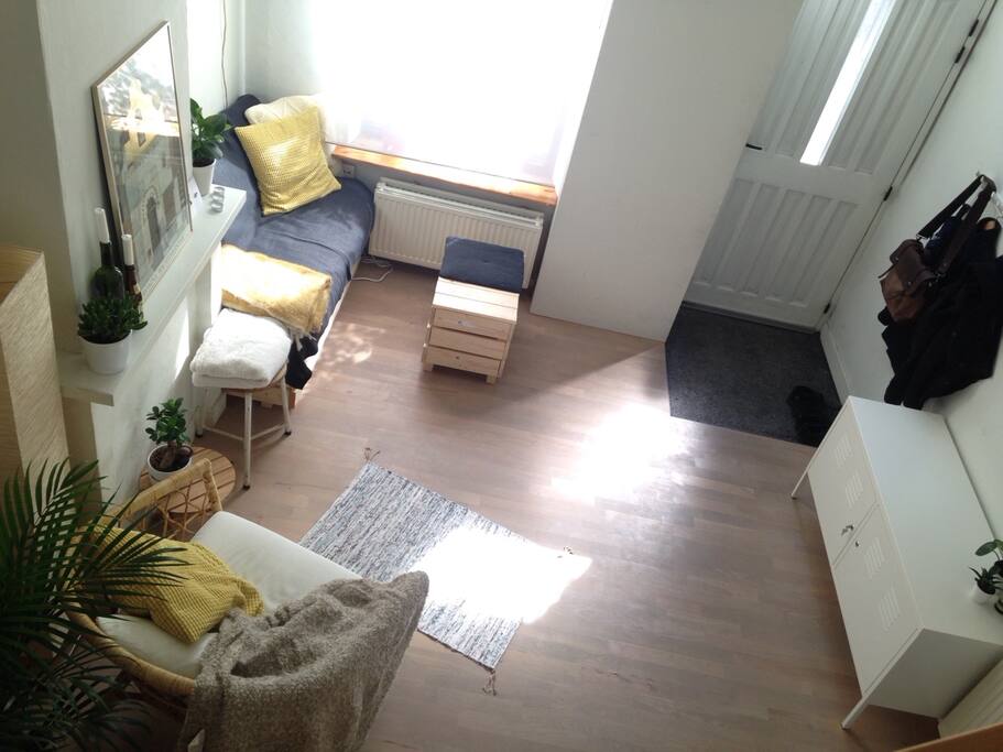 Shared living room