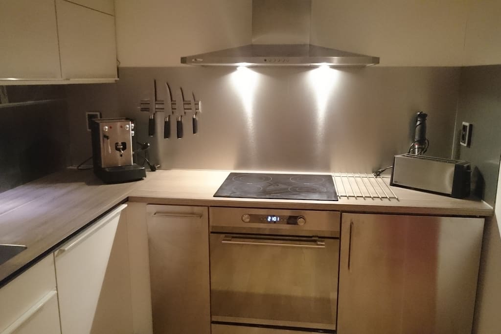 Kitchen: Fridge, induction, convention-oven, espresso machine