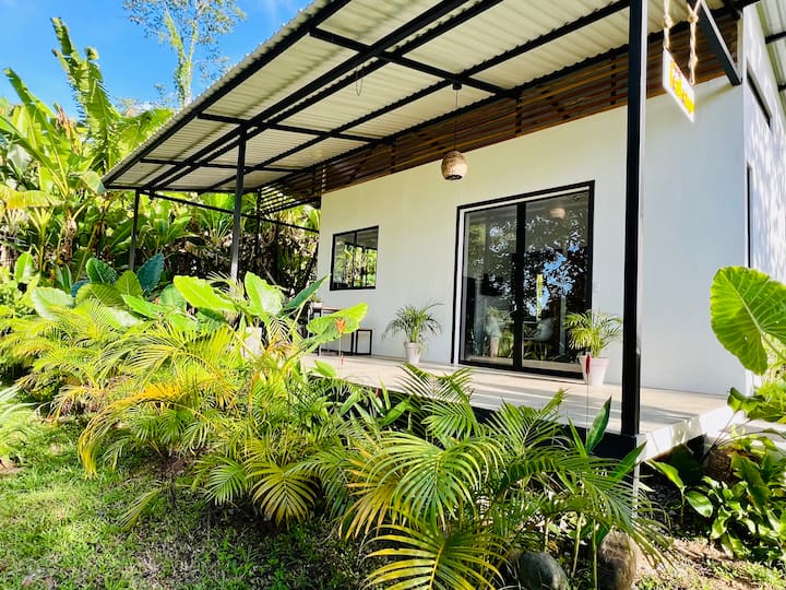 Caribbean House / Fiber Optic Houses for Rent in Puerto