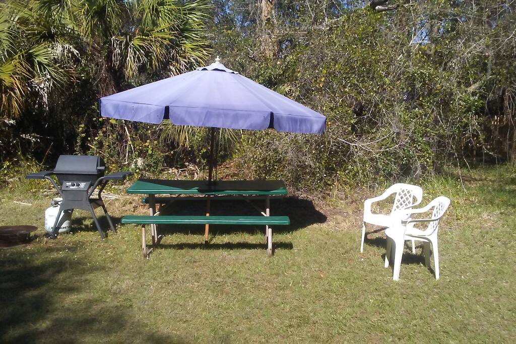 Gas grill and camp fire ring.