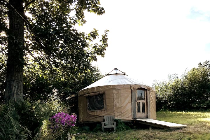 Airbnb Halibut Cove Ferienwohnungen Unterkunfte