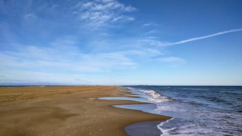 Charming house in the heart of the Ebro Delta