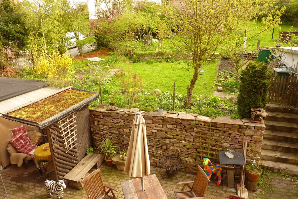 Blick in den Garten