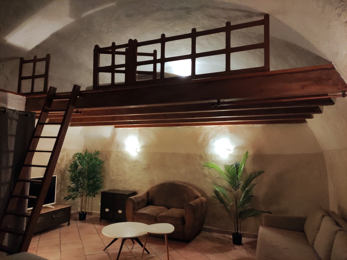 A spacious studio features a loft area above, accessed by a wooden ladder. Two sofas provide comfortable seating, and a small coffee table sits in the center. A TV is positioned against the wall, complemented by decorative plants. Soft lighting enhances the unique arched ceiling.