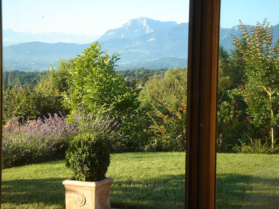 vue depuis la cuisine