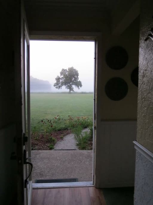 Looking out the front door.