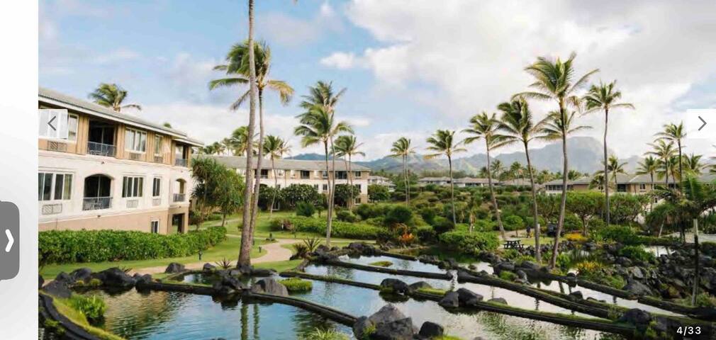 Come for the Holidays 2/2 Kauai Dreams gallery image 4