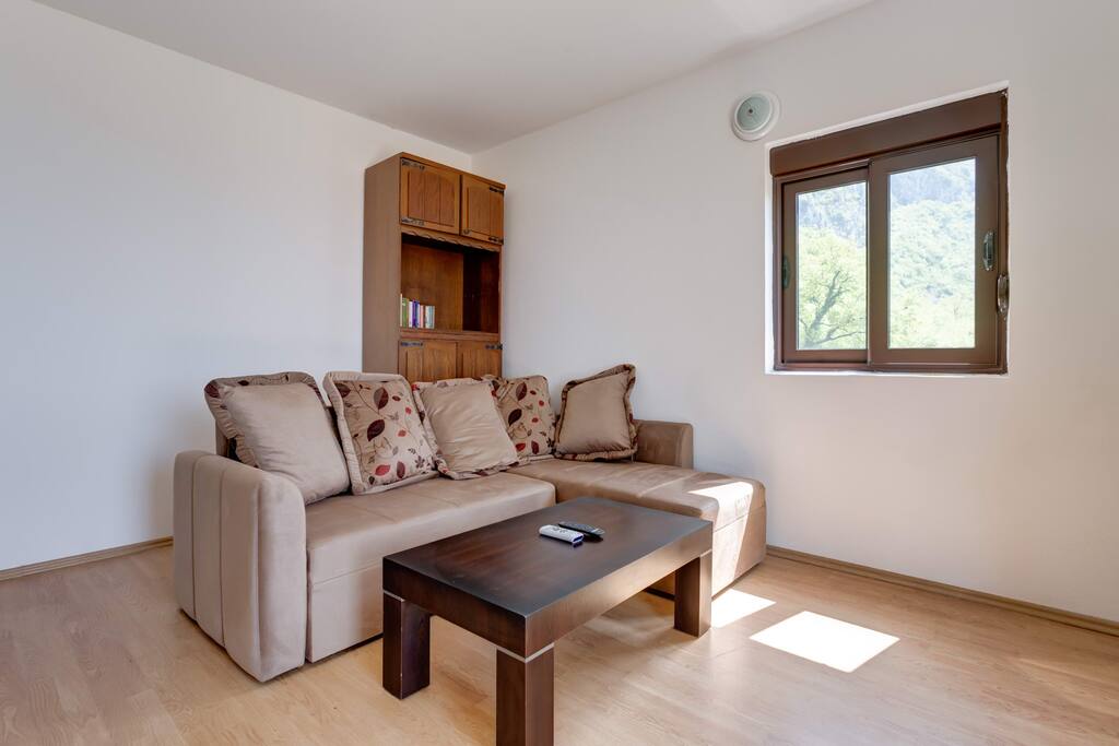 Comfortable living room with foldaway sofa.