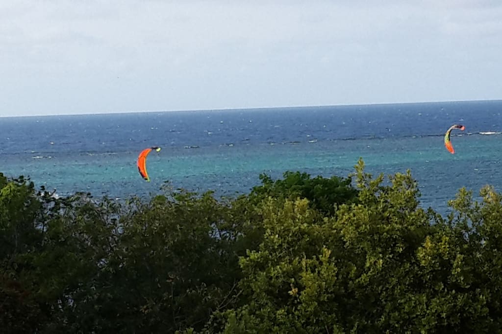 Kite Surfing out front