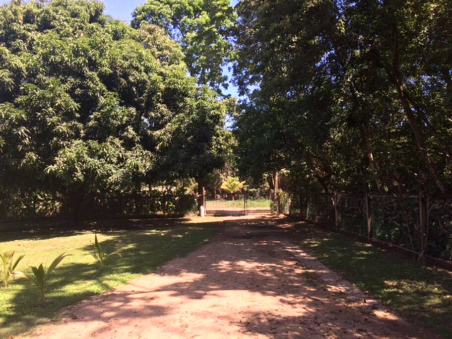 Driving out of yard