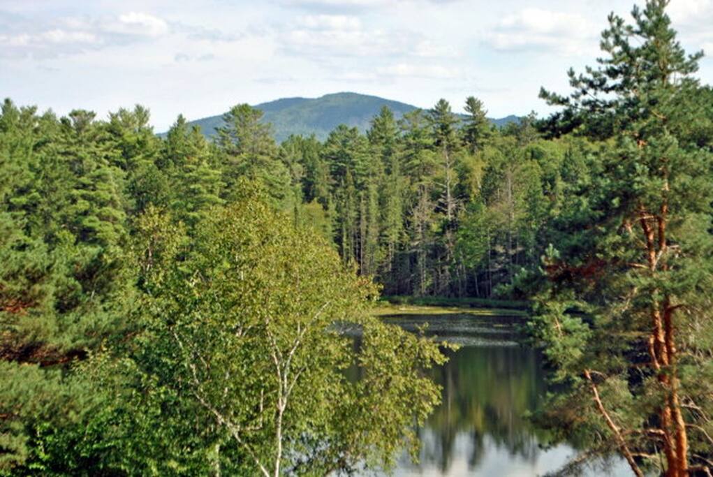 Views of Scarface Mountain and Turtle Pond