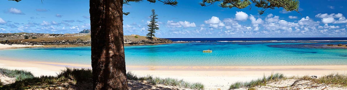 A tranquil beach scene showcases a clear turquoise lagoon gently meeting a sandy shore. Lush grass and a Norfolk Pine frame the image, while the sky is filled with scattered clouds above the calm ocean. A distant boat can be seen floating on the water.