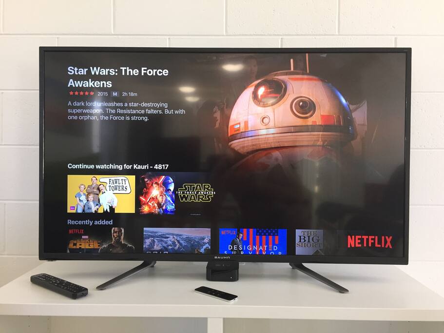 Apple TV + Netflix TV and Movies