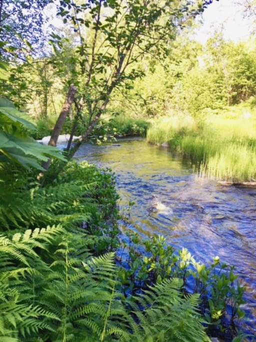 Creek Front Property