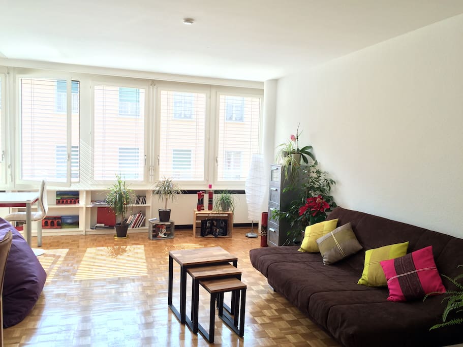 Large and bright Living Room with Sofa bed