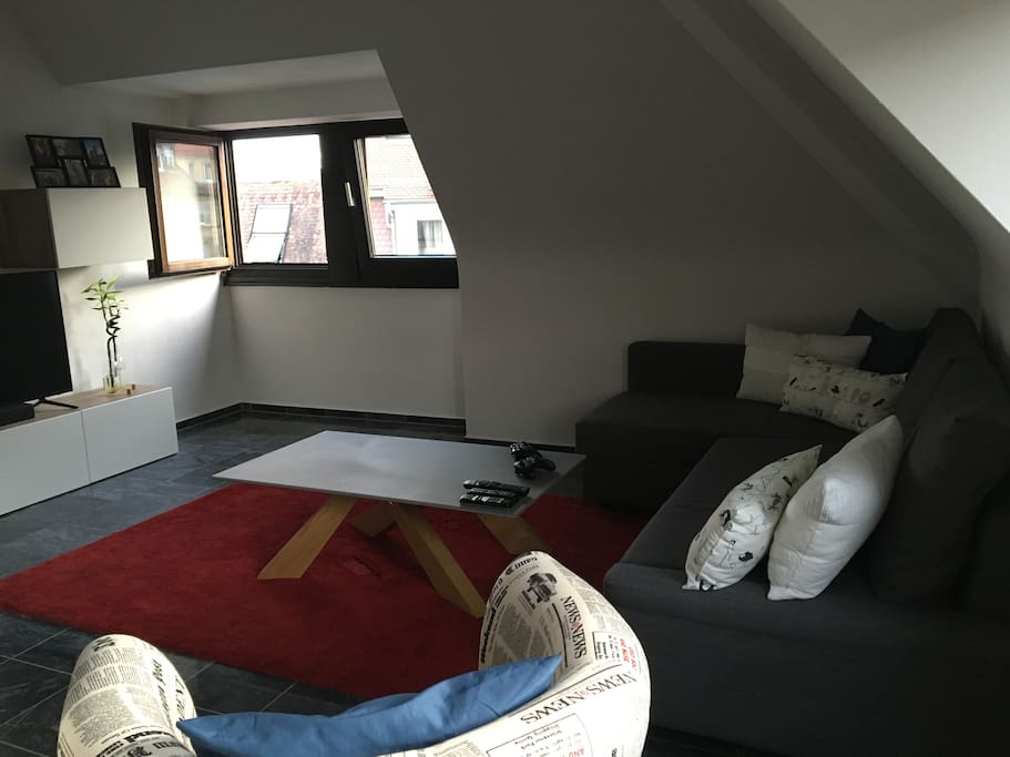 Living room (1/2) with sleeper couch (pull out).