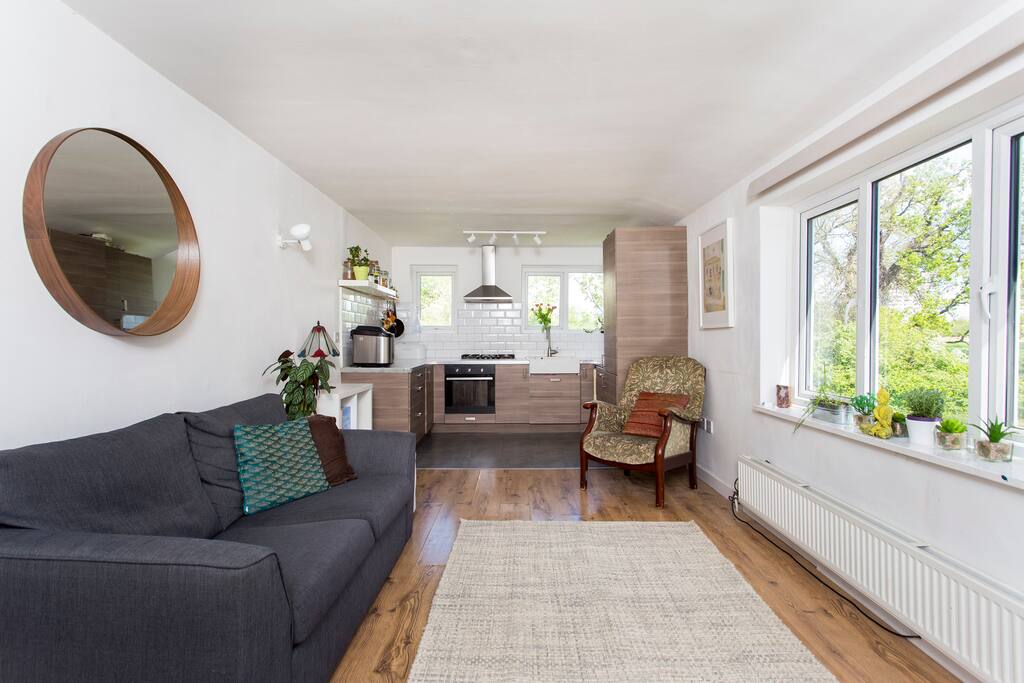 Our open plan living room, over looking Woodbury Wetlands stunning views.