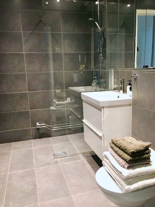 Luxurious bathrooms