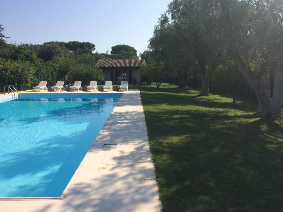 Bungalow junior suite 40 sqm. Swimming pool and fruit garden part with many differents kind of plants and trees
