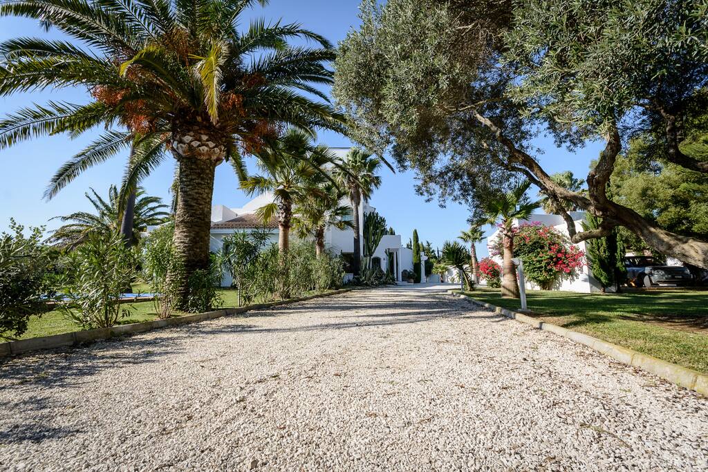 Palmenzufahrt zur Villa