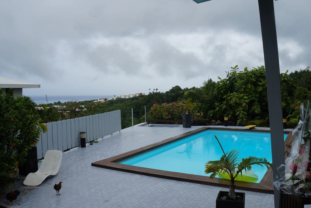 Piscine petit et grand bain avec plongeoir