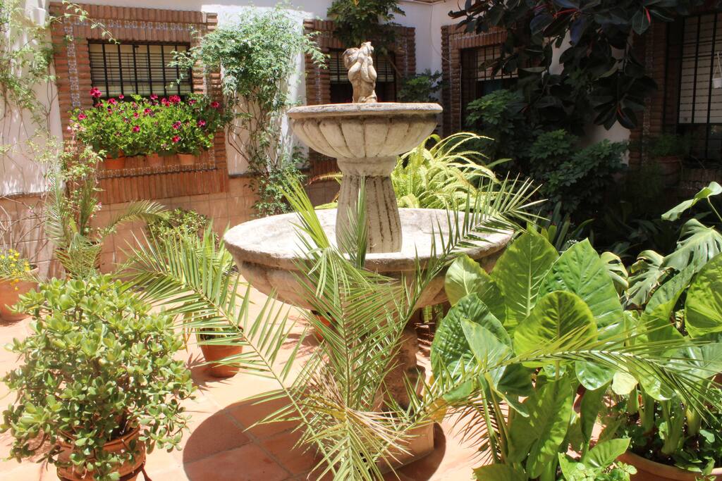PATIO DE ENTRADA APARTAMENTO