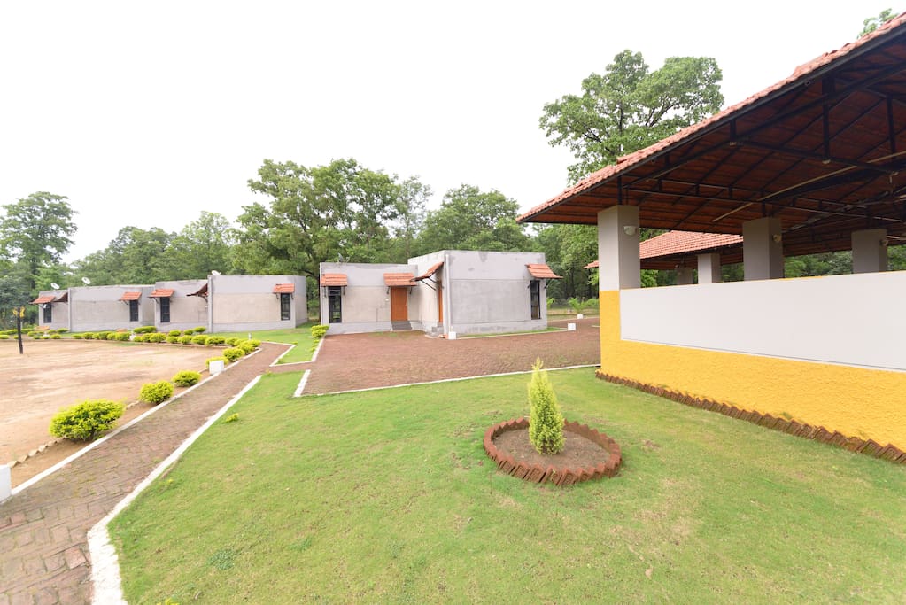 The garden view
