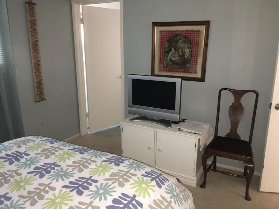 TV with streaming Netflix, PBS, Amazon, and Hulu.