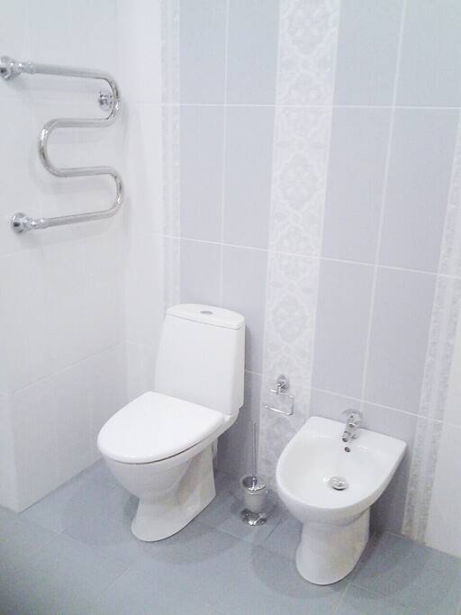 Туалет и биде
toilet and bidet