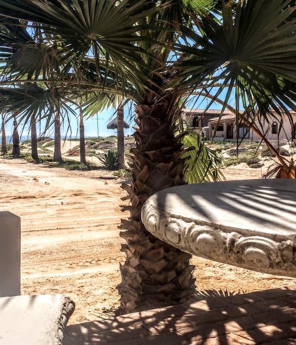 Shaded outdoor areas for dining or just lazing.