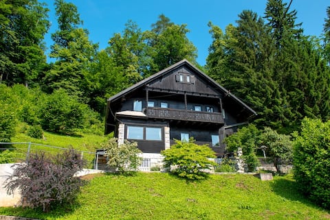 Gorgeous Chalet with amazing lake view
