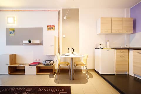 Top performing Airbnb: Ljubljana cozy over sleep studio - apartment in Četrtna Skupnost Šiška
