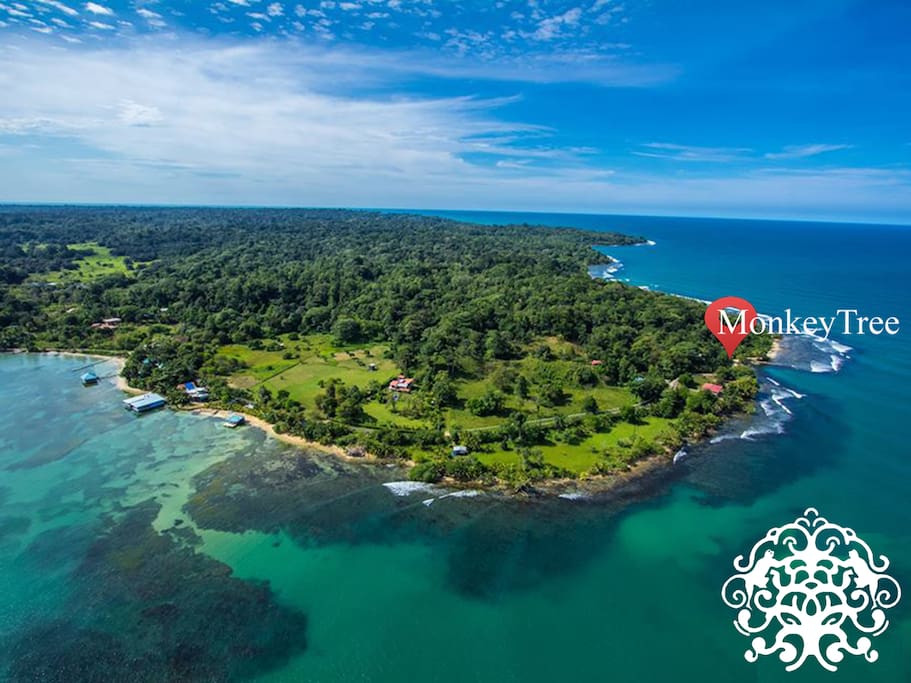 Beautiful Bocas...shows Monkey Tree location