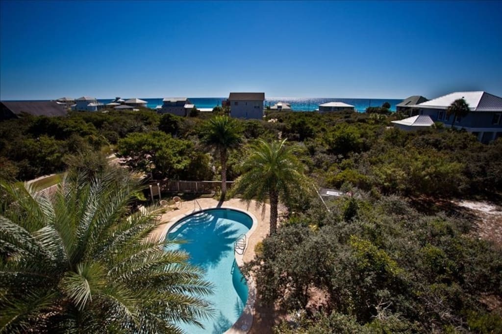 Pool, Water, Palm Tree, Tree, Building