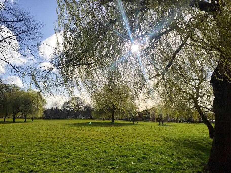 Cleveland Park is less than a minute from the front door, right opposite the flag