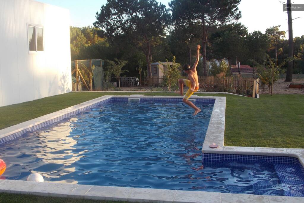 Swimming pool and surrounding area