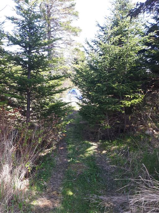 Small path from private parking space to camping site