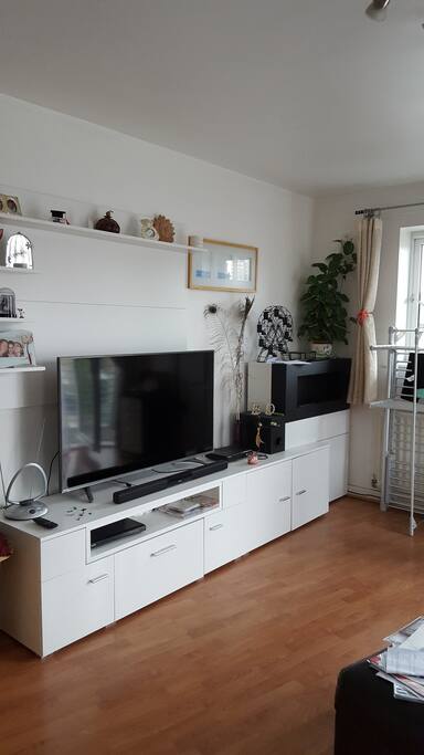 TV, and fire place