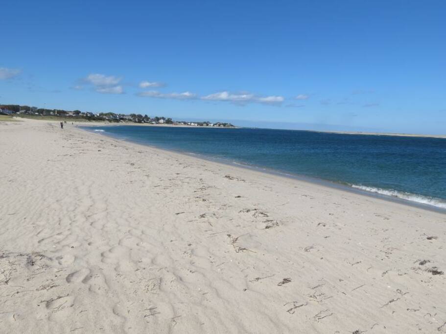No shortage of space to set up camp on this beach.