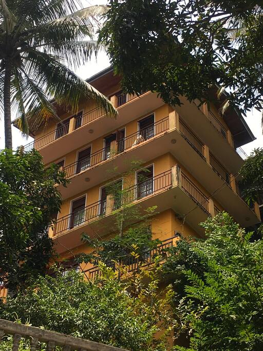 The building. Primrose Hill View locates on the ground floor next to the flower garden