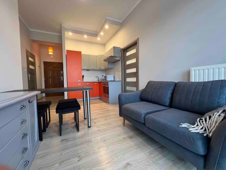 Apartment in the Heart of the City
