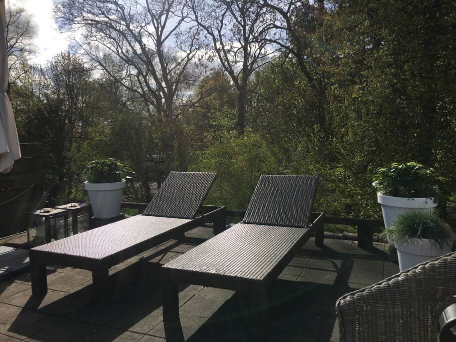 Dakterras