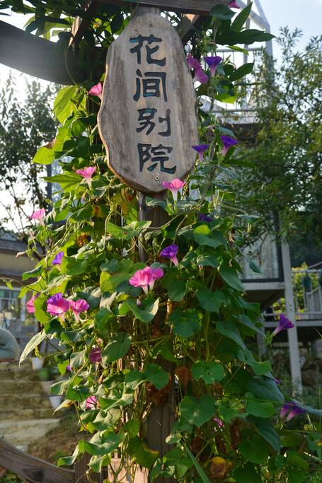牵牛花、紫藤簇拥下的院门。