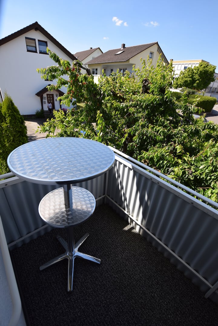 10 Best Airbnb Vacation Rentals In Sinsheim, Germany Updated 2024