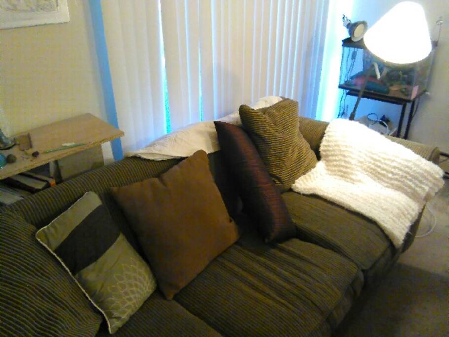 Booking is for a couch to sleep on in a shared space studio apartment. Host is other occupant. Curtain separates host sleep area from guest.