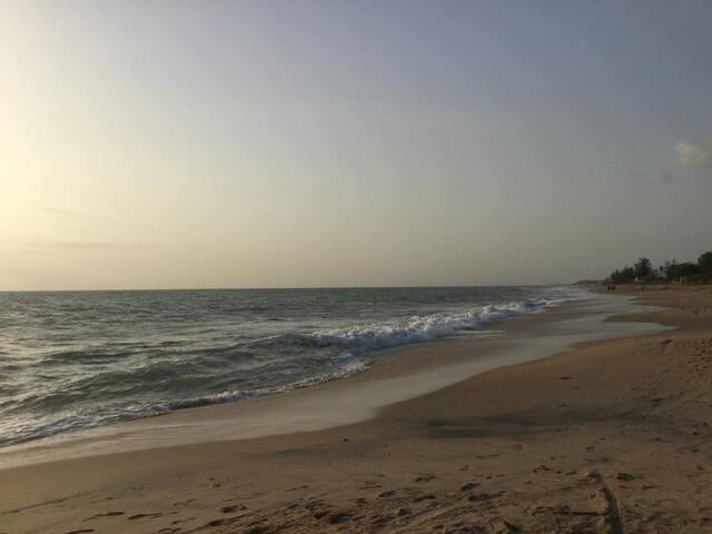 Download Une chambre face a locean condo myrtle beach Free