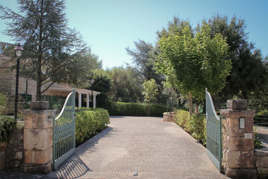 Ingresso