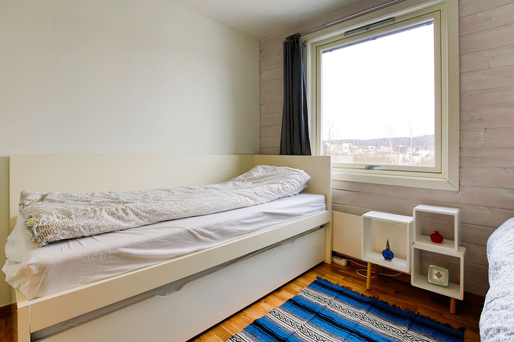 This bed has another bed under. There is a wardrobe and shelves in the room as well