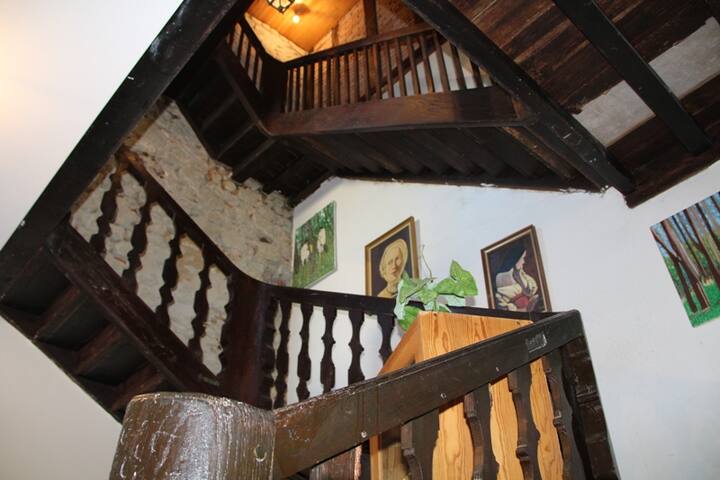 Bed & breakfast in Poyanne - Landes (40)